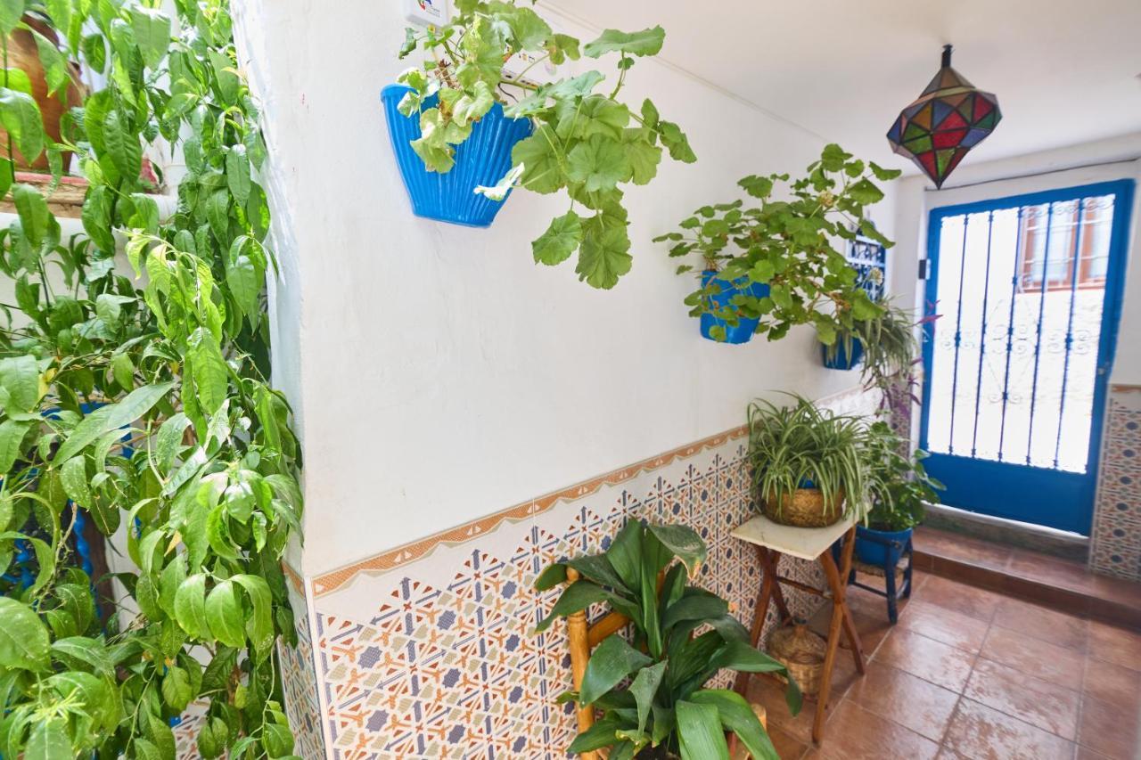 Casa El "Tablao De Las Almendras" Granada Eksteriør billede